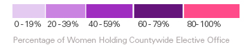Percent of Women Holding Countywide Elective Office