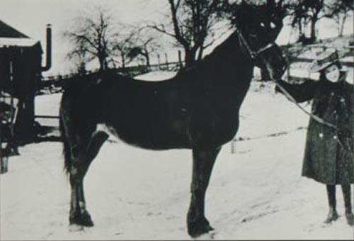 Rachel Carson with Horse in Winter at Carson Homestead (Pennsylvania)