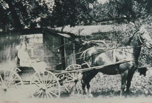 Rachel Carson with Horse and Buggy at Carson Homestead (Pennsylvania)