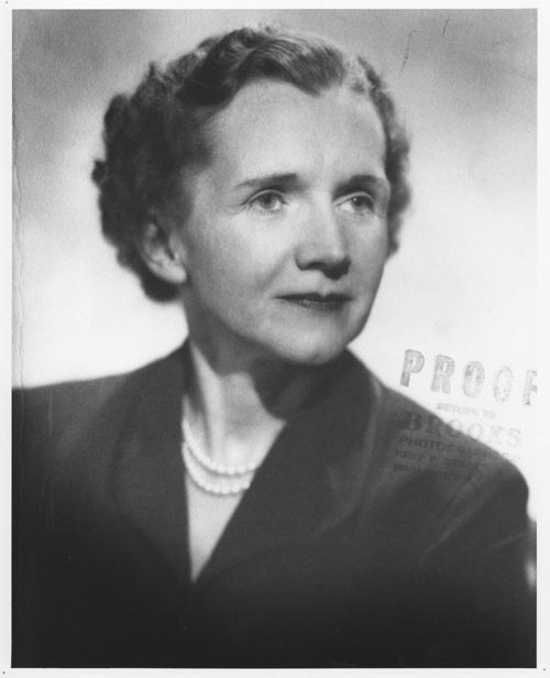 Rachel Carson in Brooks Photography Press Photograph Proofs for The Sea Around Us