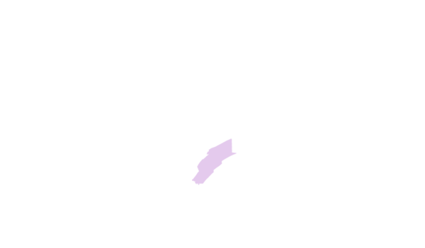 Mifflin