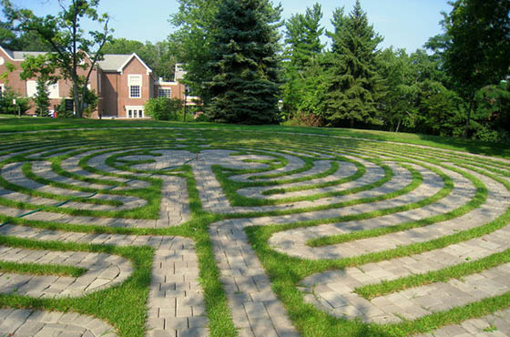 Photo of a garden courtyard, with a green plant growing to make a pattern over the stone. In the distance there are red brick buildings.