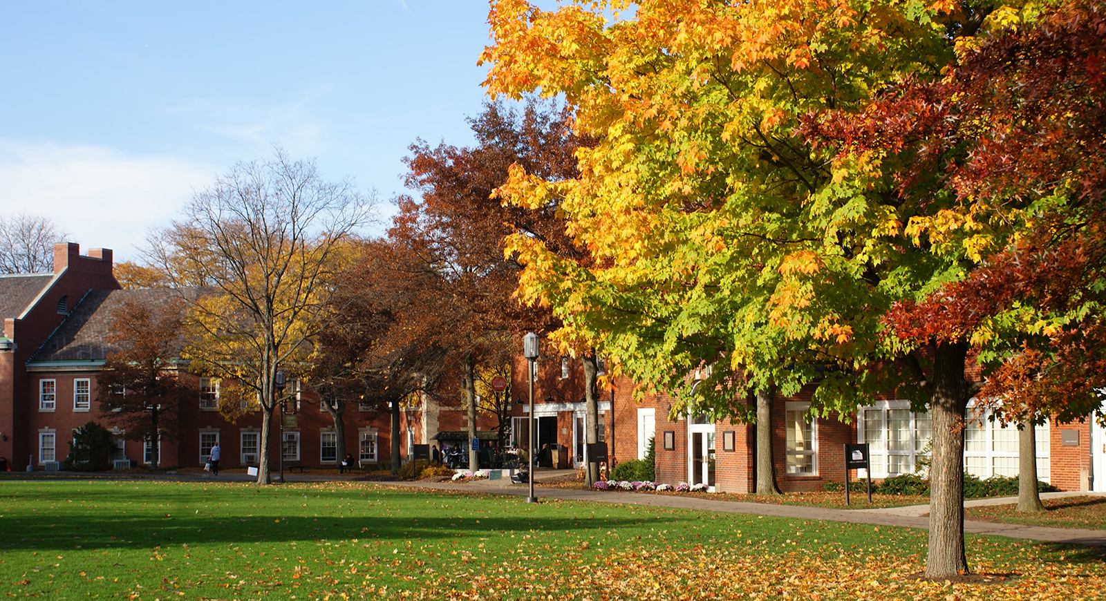Photo of Chatham University's Shadyside Campus in the fall with colorful leaves and green academic quads.