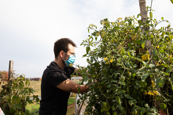 Photo of a masked Chatham University student working in the agroecology garden on Eden Hall Campus