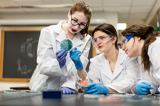 Chatham students in protective gear working together in a lab