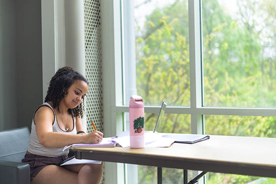 Chatham student working on homework on Shadyside Campus