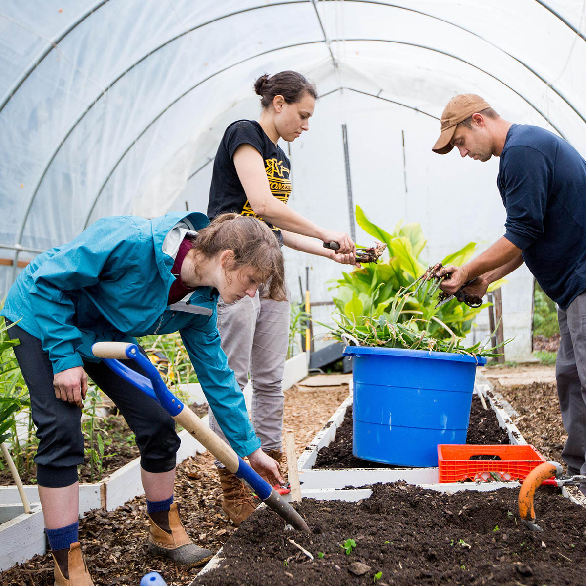 Photo of students working in a greenhouse on Eden Hall Campus