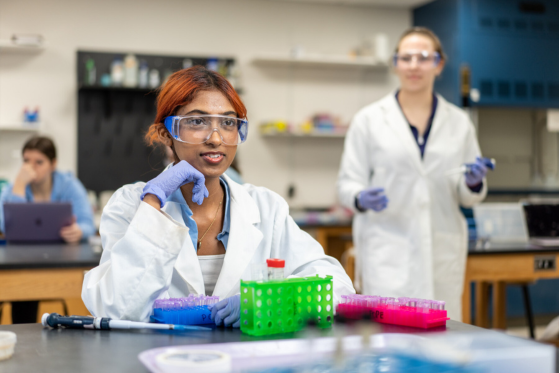 Decorative image reading Faculty Listing