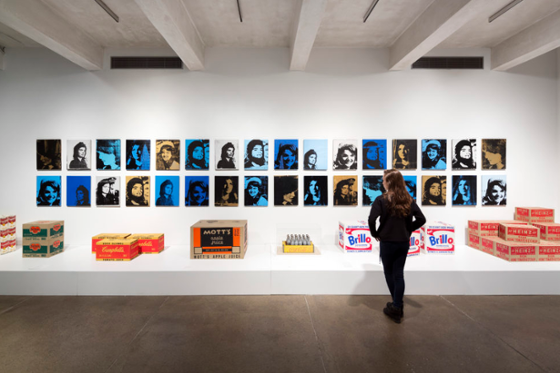 Photo of a Chatham University media arts student standing in front of an art installation at the Andy Warhol museum in Pittsburgh.