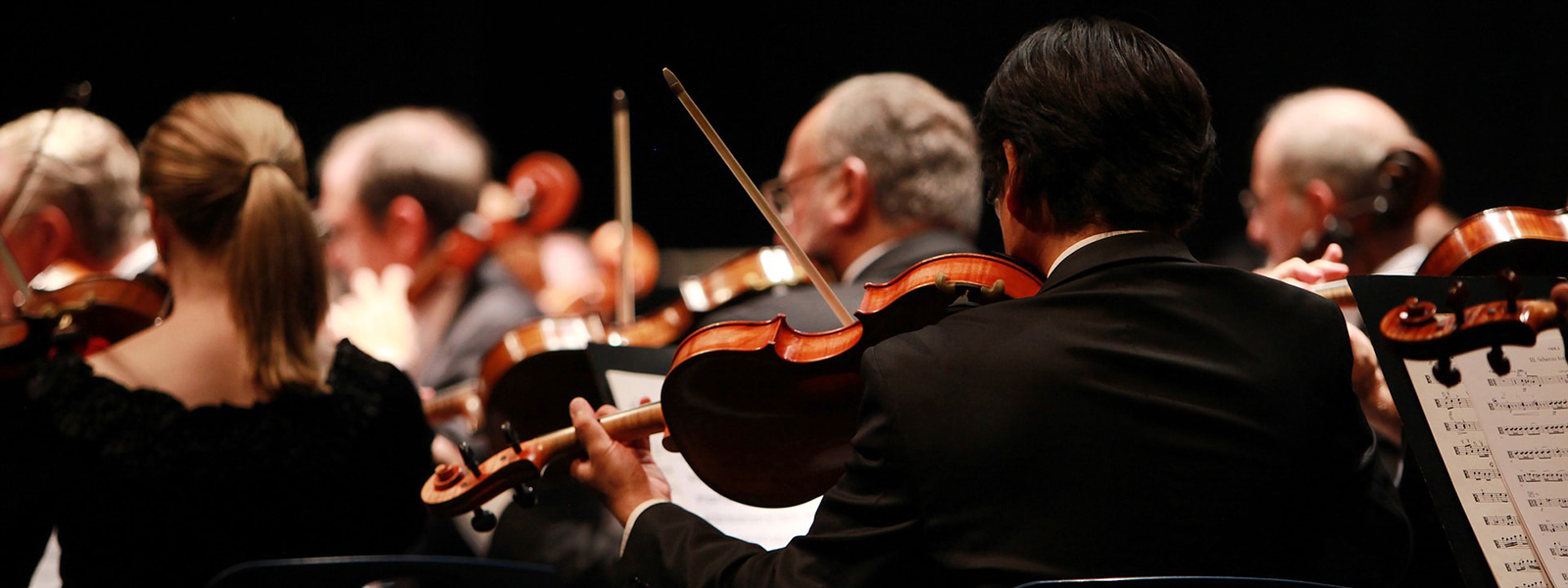 Photo of a symphony's string musicians performing on stage.
