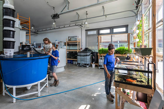 Photo of three Chatham University students working in an Eden Hall Campus lab