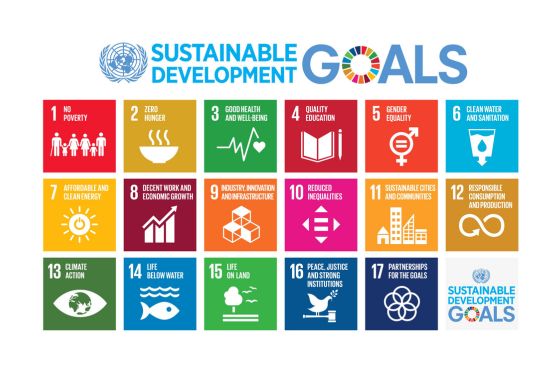 Photo of a Chatham University student in a hijab, working on a tablet in Cafe Rachel