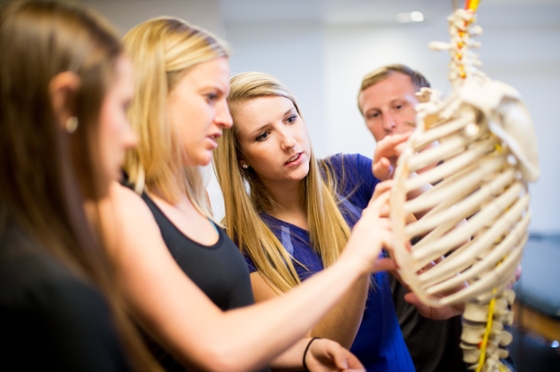 Four students examine an educational skeleton in Chatham University lab. 