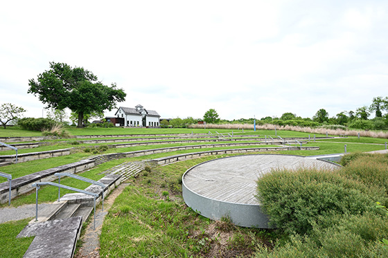 Photo of the amphitheater at Chatham's Eden Hall Campus