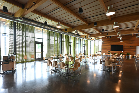 Photo of the interior of Chatham's Esther Barazzone Center