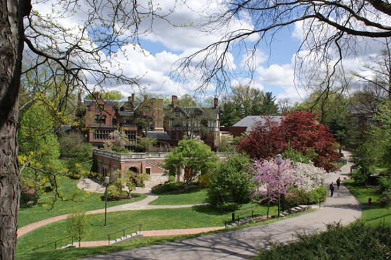 Redbrick academic buildings on Chatham University's Shadyside campus are framed by colorful budding trees and green grass. 