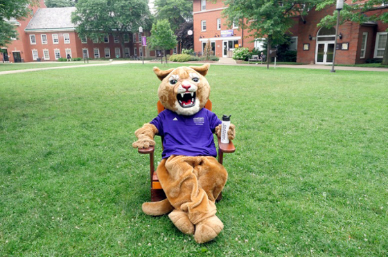 Photo of Chatham University mascot Carson the Cougar sitting on a chair on Shadyside Campus