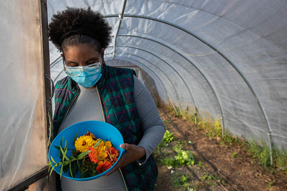 Photo of a Chatham University student in an Eden Hall Campus greenhouse, holding a bucket of recently harvested produce